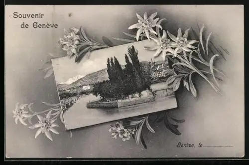 AK Genève, Vue partielle, Passe-partout avec Édelweiss