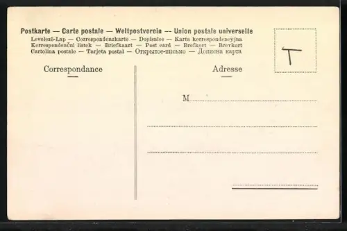 AK Geneve, Le Mont-Blanc vue prise depuis la Jettee des Paquis