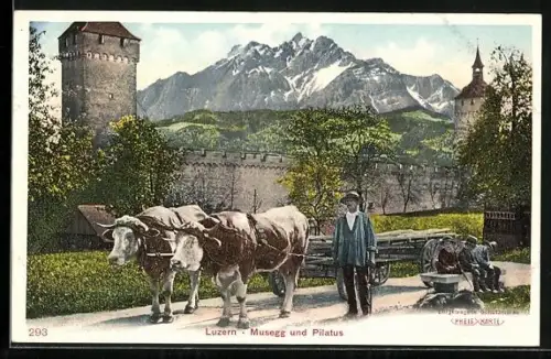 AK Luzern, Musegg und Pilatus, Ochsengespann