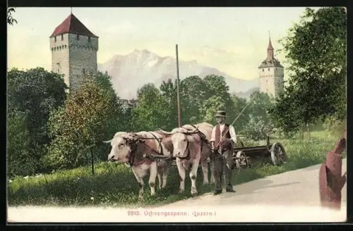 AK Luzern, Ochsengespann