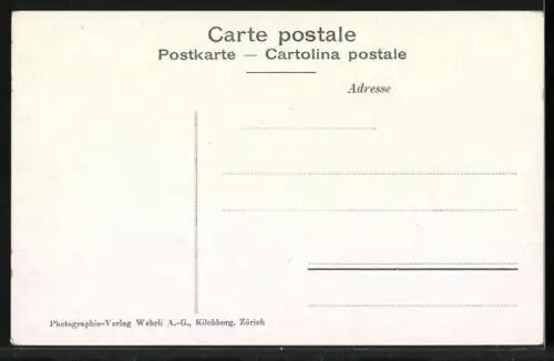 AK Luzern, Ochsengespann