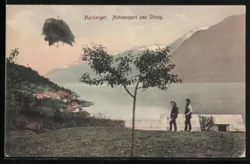 AK Hardanger, Hötransport paa Streng