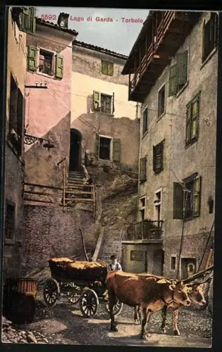 AK Torbole, Landwirt mit Ochsengespann