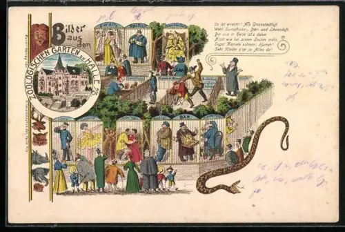 Lithographie Halle a. S., Menschen in Käfigen im Zoo, Liebesvögel, Burenhund, Reinicke Fuchs, Zier-Affe