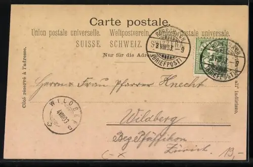 Lithographie Rorschach, Hotel Hirschen, Jakobs Brunnen, Ortsansicht aus der Vogelschau