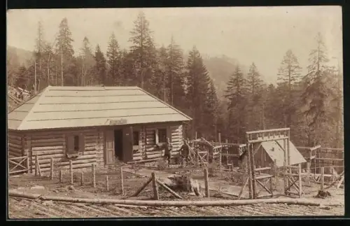 Foto-AK Planina, K. k. Forstbetrieb Tara-Planina