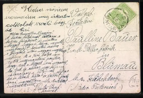 AK Sauerbrunn, Hartig Villa mit Bahnhof