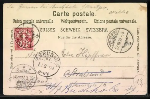 Lithographie Pontresina /Engadin, Panorama, Samaden und S. Moritz