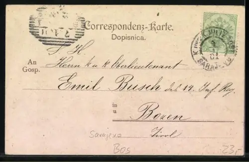 Lithographie Sarajevo, Ortspartie mit Moschee vor Bergkulisse