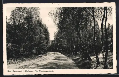 AK Bad Bramstedt i. Holstein, Kurhausparkgelände