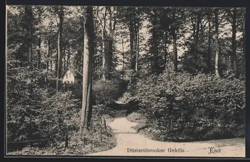 AK Kiel, Düsternbrooker Gehölz