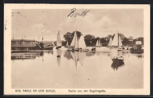 AK Bad Arnis an der Schlei, Partie von der Segelregatta