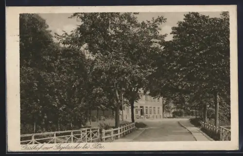 AK Plön, Gasthof zur Fegetasche, Besitzer Ludwig Boll