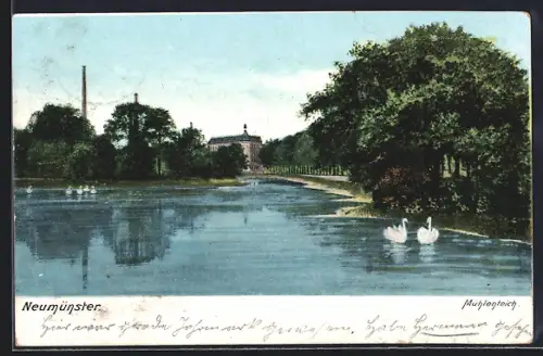 AK Neumünster, Mühlenteich
