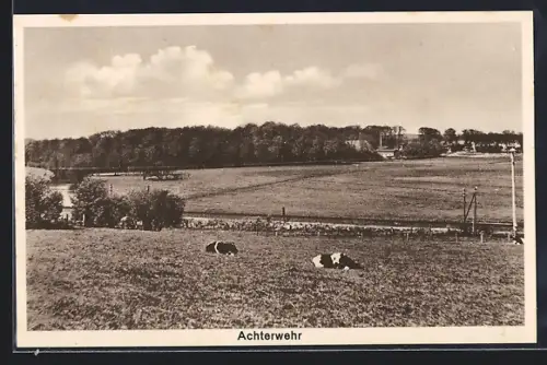 AK Achterwehr, Landschaft mit Weide und Kühen