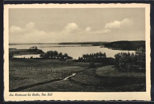 AK Wrohe /Kiel, Westensee, Landschaftspanorama