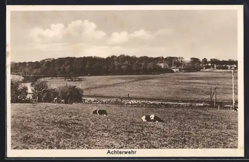 AK Achterwehr, Landschaft mit Wiesen und Kühen