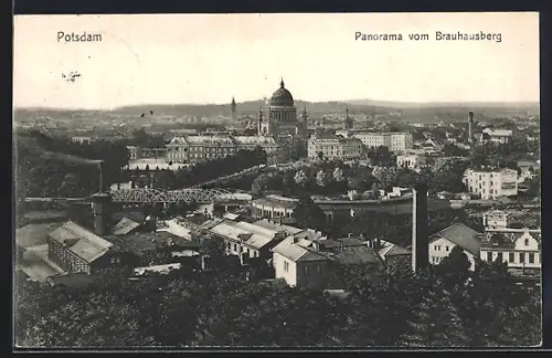 AK Potsdam, Panorama vom Brauhausberg