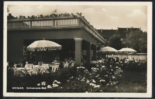 AK Weimar / Thür., Restaurant und Café Schwansee-Bad