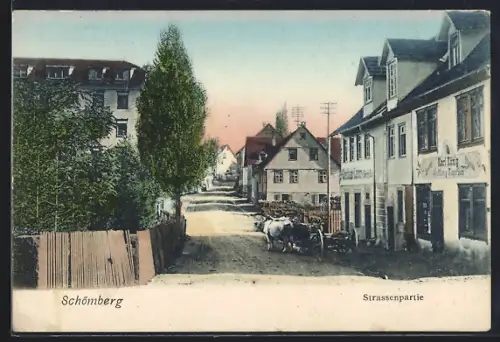AK Schömberg / Schwarzwald, Strassenpartie mit Geschäften