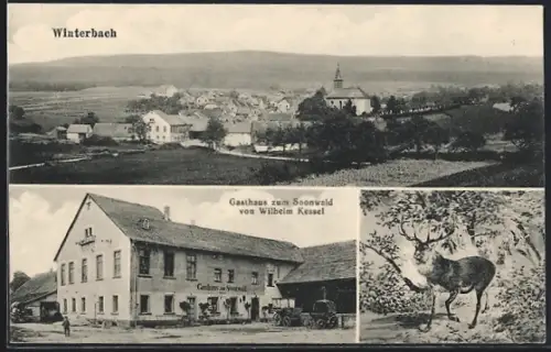 AK Winterbach / Soonwald, Gasthaus zum Soonwald von Wilhelm Kessel, Ortsansicht mit Kirche