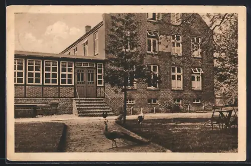 AK Berumerfehn /Ostfriesland, Ansicht aus dem Garten des Kompagniehauses mit Pfauen und Storch, Inh. Rudolf Friedewohld