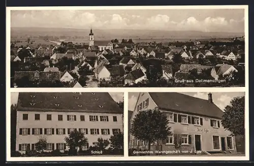 AK Dellmensingen, Gemischtes Warengeschäft von J. Egle, Schloss, Totalansicht aus der Vogelschau