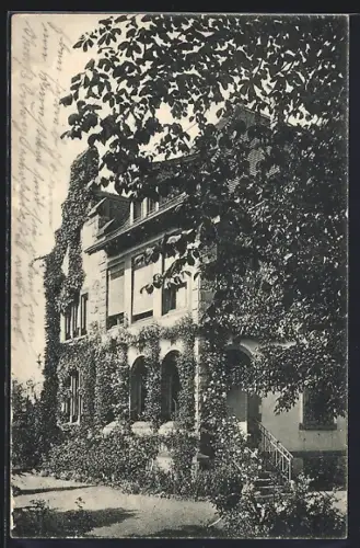 AK Rheinfelden, Gasthaus zur Sommerau