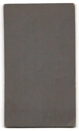 Fotografie Atelier Wertheim, Berlin, Leipzigerstr., Dame mit Buch in elegantem Kleid