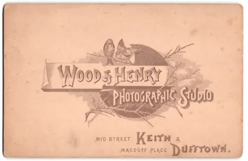 Fotografie Wood & Henry, Keith, Mid Street, Spätze auf einem Ast über Anschrift des Atelier