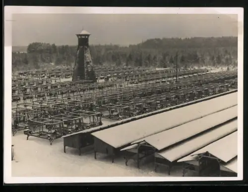 3 Fotografien Nerzfarm im Winter, Käfe und Turm in der Mitte