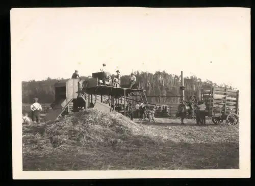 8 Fotografien Ansicht Valdivia, Feldarbeit, Dreschmaschine, amerikanische Mähmaschine, Kuhweide, chilenische Bauern