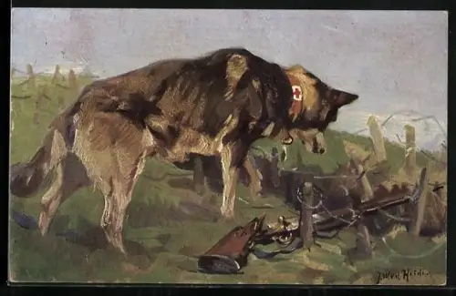 Künstler-AK Sanitätshund entdeckt einen Verwundeten in einer Wolfsgrube