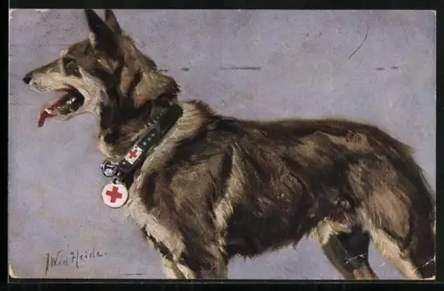 Künstler-AK Sanitätshund, deutscher Schäferhund