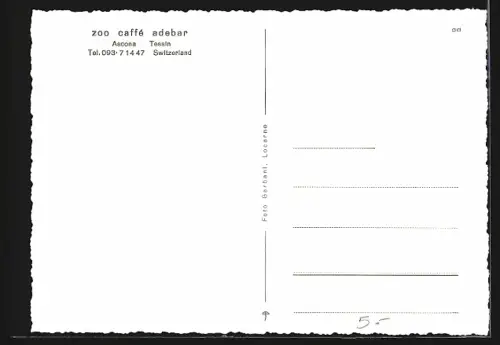 AK Ascona, Zoo Caffé Adebar