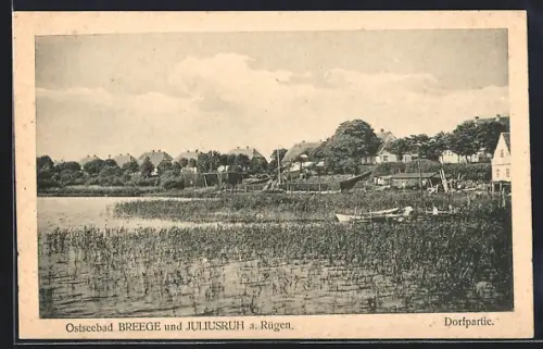 AK Breege /Rügen, Dorfpartie Breege und Juliusruh