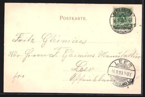 AK Oldenburg i. Gr., Blick auf Grossherzogl. Schloss und Lambertikirche