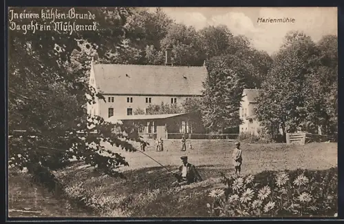 AK Langebrück /Seifersdorfer Tal, Gräflich von Brühl`sche Marienmühle W. Plettig