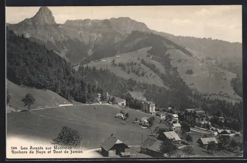 AK Les Avants sur Montreux, Panorama, Rochers de Naye et Dent de Jaman