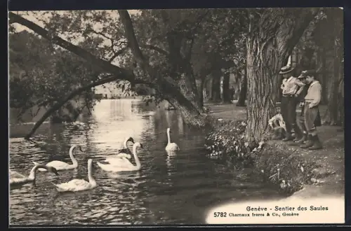 AK Genève, Sentier des Saules