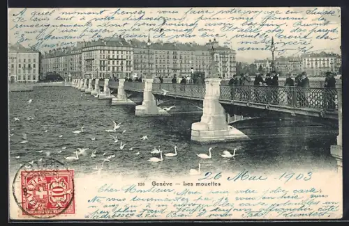 AK Genève, Les mouettes