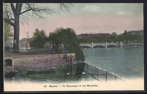 AK Genève, Ile Rousseau et les Mouettes