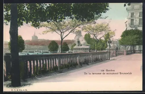 AK Genève, De la terrasse de monument Brunswick