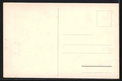 AK Genève, Pont des Bergues et Ile Rousseau