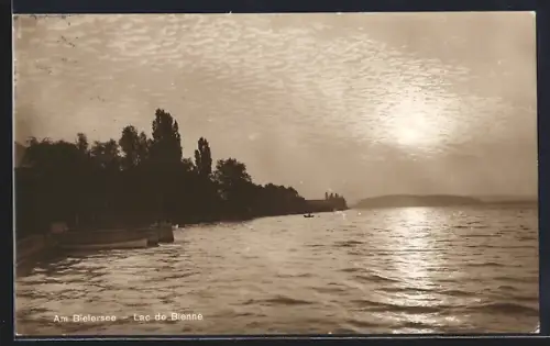 AK Petersinsel /Bielersee, Uferpartie mit Booten am Abend