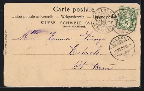 AK Genève, Musée Ariana