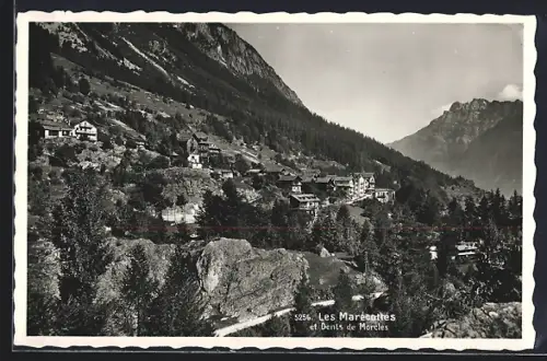 AK Les Marécottés, Panorama et Dents de Morcles