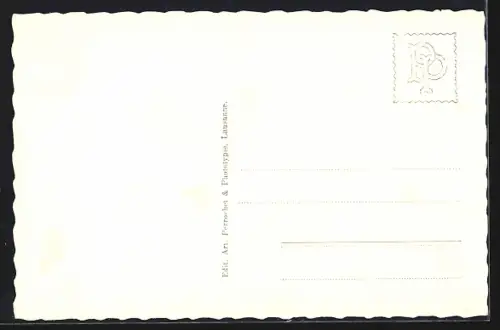 AK Les Marécottés, Panorama et Dents de Morcles