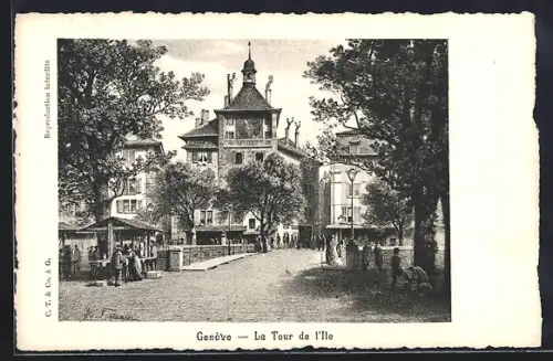 AK Geneve, La Tour de l`Ile