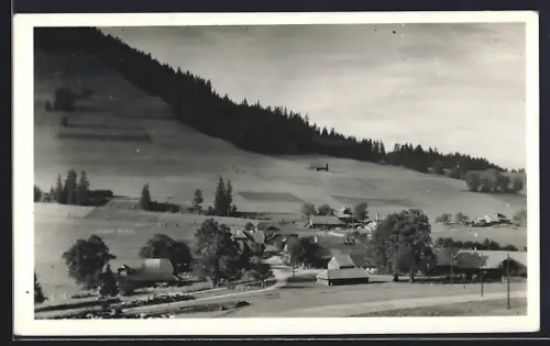 AK Riffenmatt, Ortsansicht mit Umland